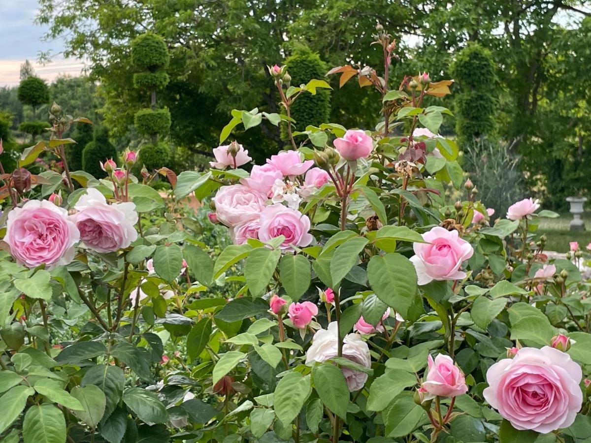 Les Jardins Haute Couture Huismes Экстерьер фото